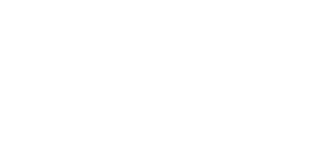 Rap Lib Logo