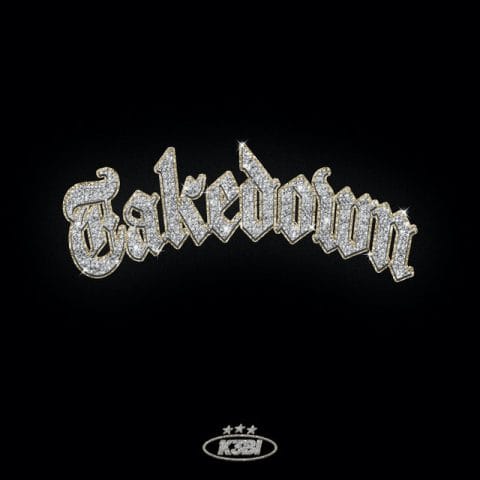 Take Down Album Cover