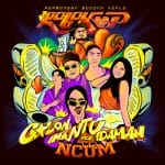 Lirik Lagu Rombongan Bodonk Koplo - Calon Mantu Idaman