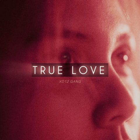Lirik Lagu XD12 Gang - True Love
