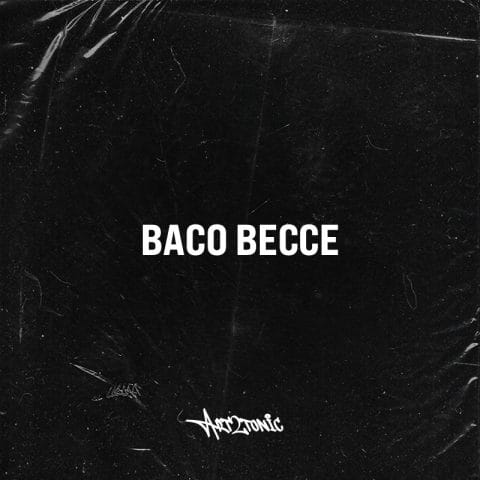 Lirik Lagu Art2tonic - Baco Becce