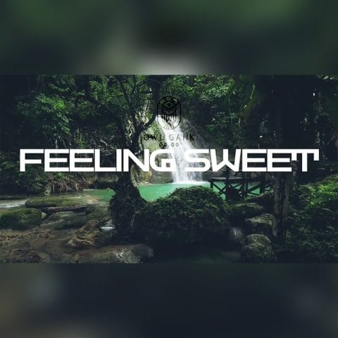 Lirik Lagu Owl Gank - Feeling Sweet