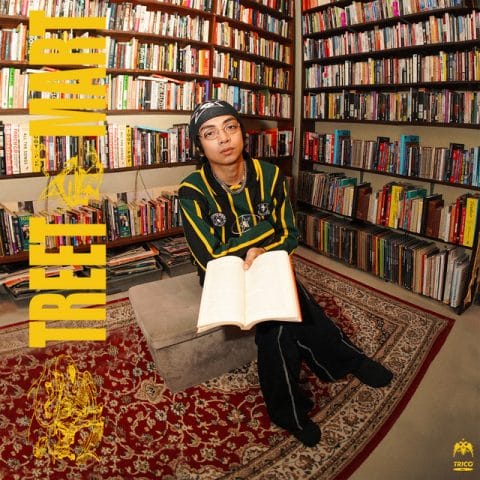 Lirik Lagu Trico - Streetsmart