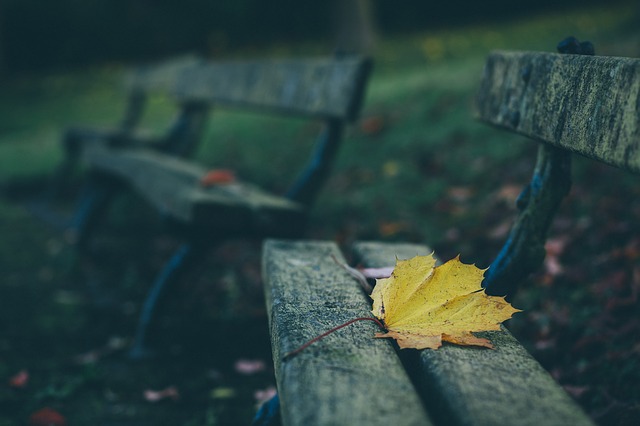Depth of field