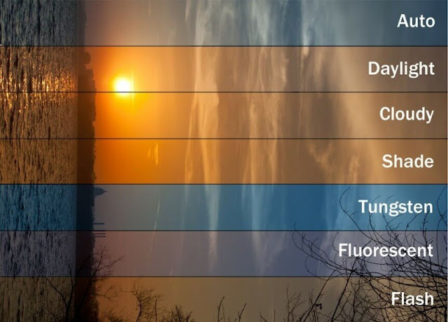 White Balance Comparison