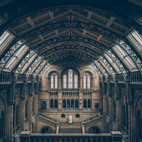Interior megah Natural History Museum London dengan arsitektur klasik dan pencahayaan alami