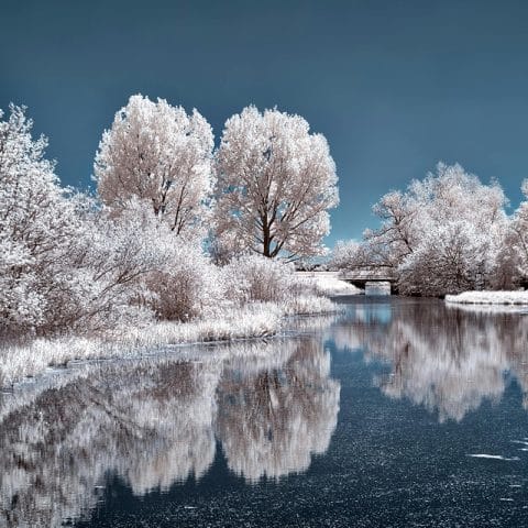 Contoh hasil infrared photography pemandangan sungai dan pepohonan dengan efek warna putih dan langit biru