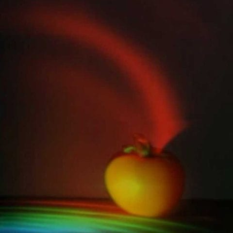 Simulasi cahaya melewati buah dengan kamera femto photography MIT