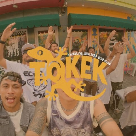 Lirik Lagu Tokek - Chesylino