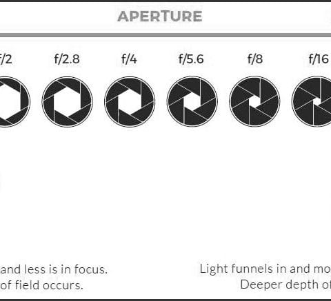 Diagram aperture fotografi yang menunjukkan ukuran bukaan lensa dari f/1.4 hingga f/22 beserta pengaruhnya terhadap cahaya dan kedalaman bidang (depth of field)