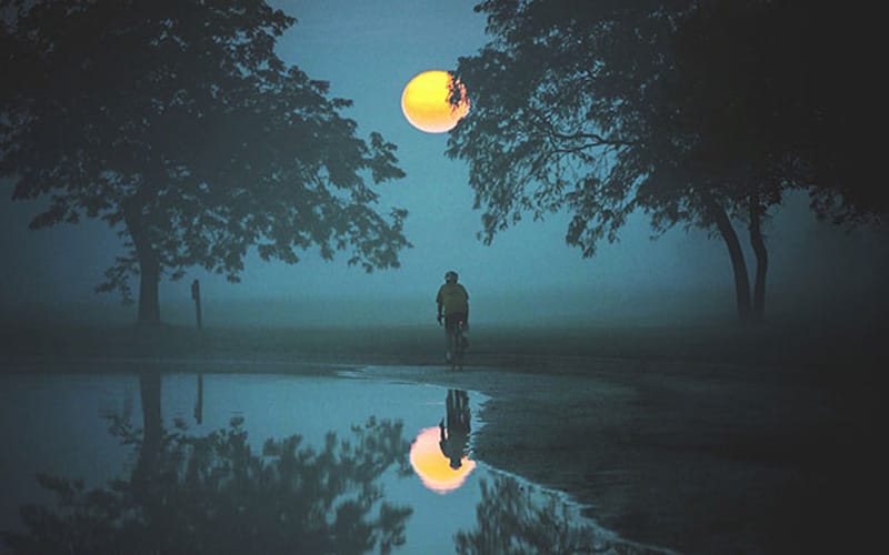 Foto portrait dengan efek pantulan air menampilkan refleksi pohon dan manusia menggunakan kamera HP