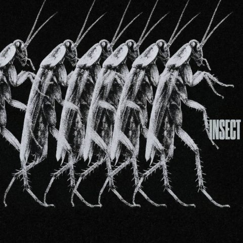 Lirik Lagu Ken Amok & Flyzad - Insect