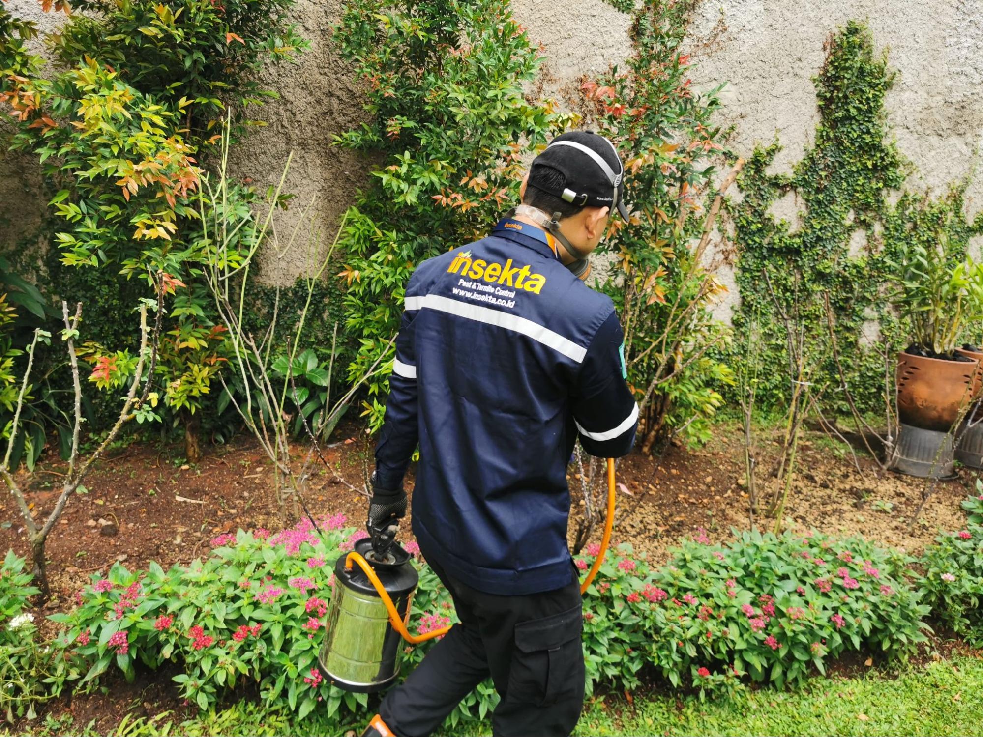 layanan jasa pest control Insekta untuk pengendalian hama