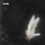 Lirik Lagu Trico - birds