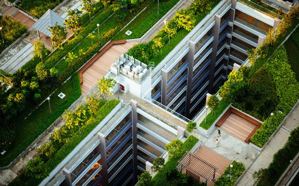 Tren rooftop garden 2026 untuk rumah dan perusahaan