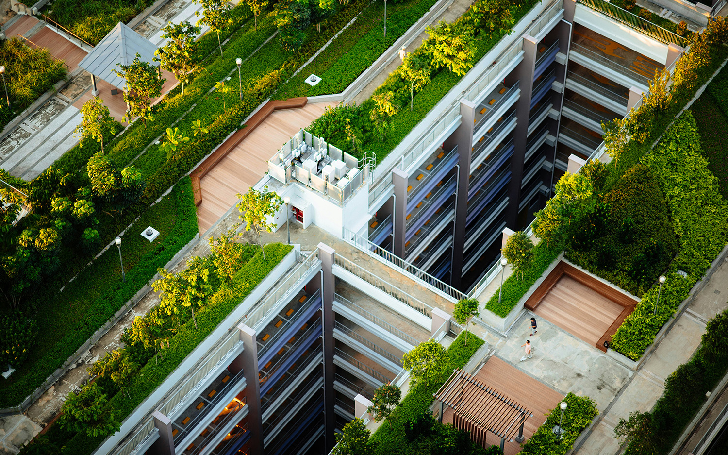 Tren rooftop garden 2026 untuk rumah dan perusahaan
