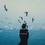 Lirik Lagu Glenn Sebastian - Tak Mungkin